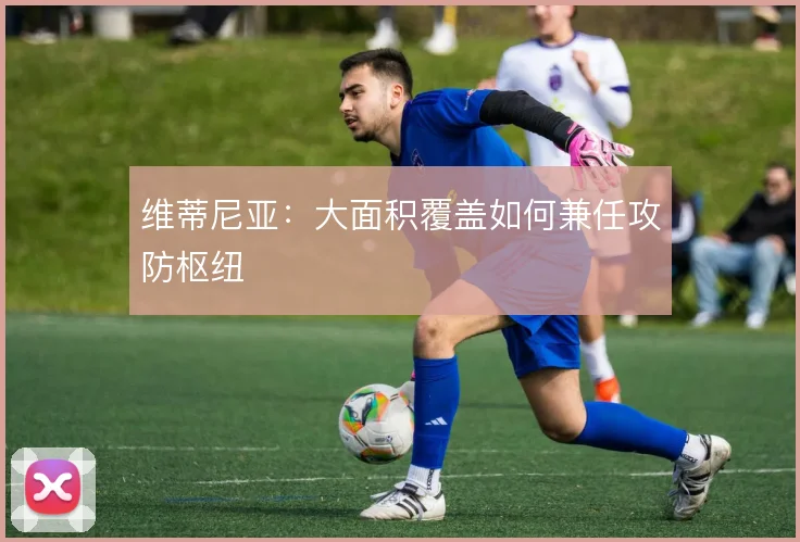 维蒂尼亚：大面积覆盖如何兼任攻防枢纽