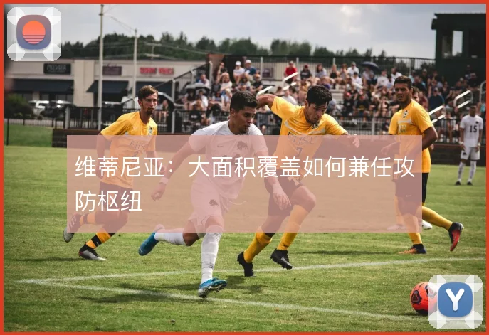 维蒂尼亚：大面积覆盖如何兼任攻防枢纽